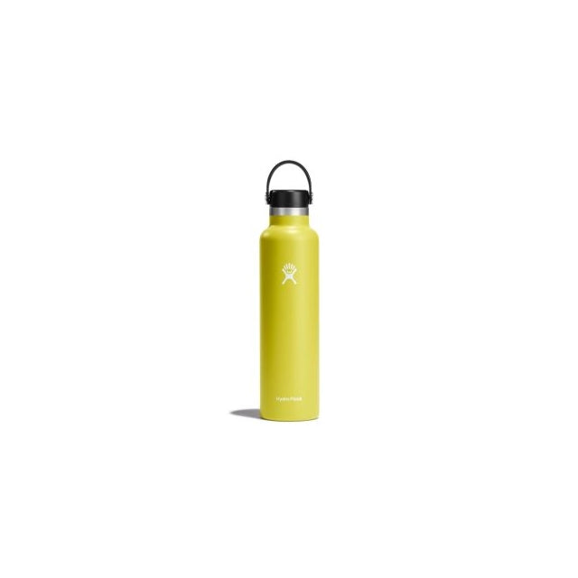 Hydro Flask 24 oz Standard Mouth Water Bottle Cactus